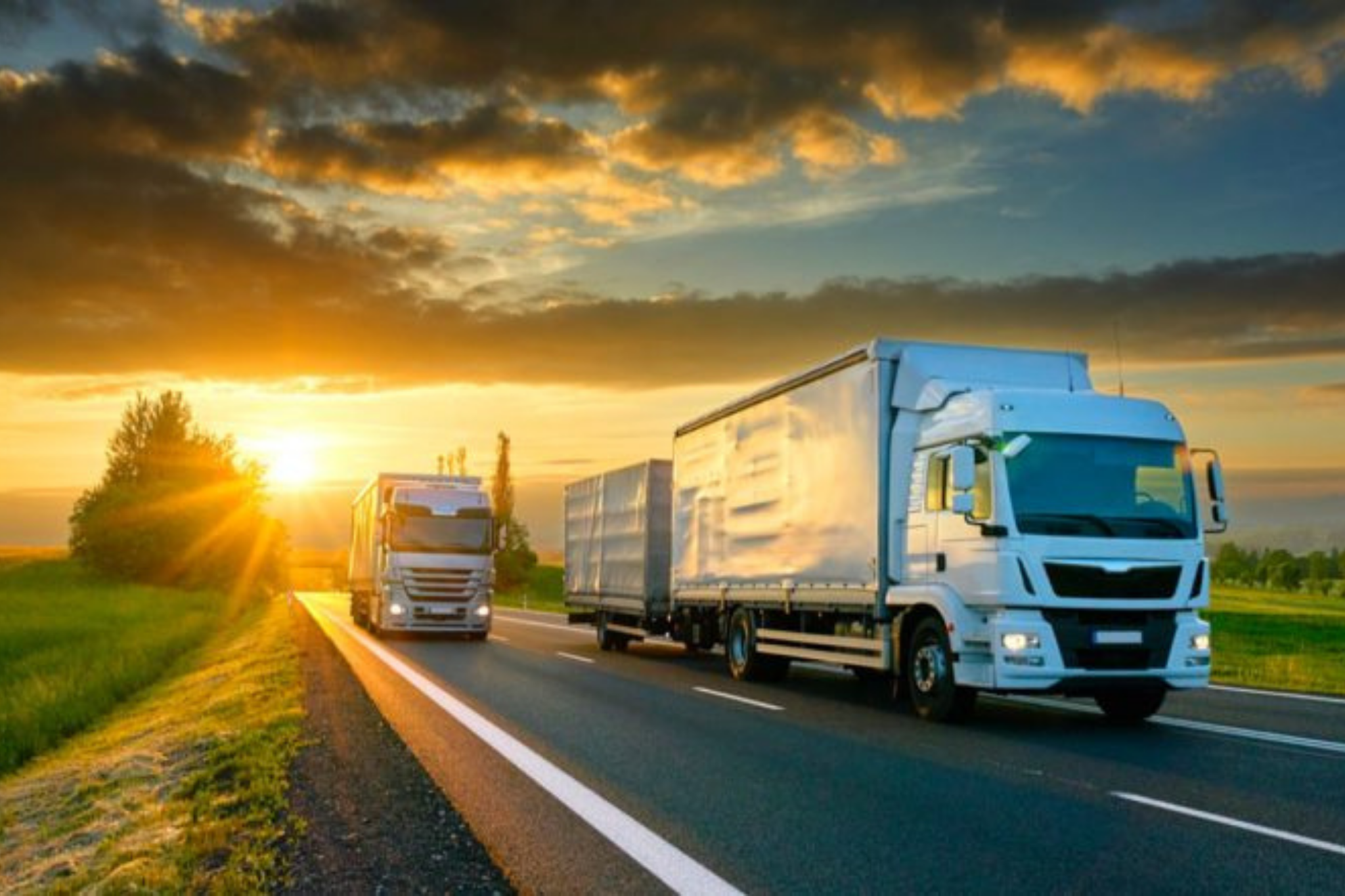 Ağır Yük Taşımacılığı